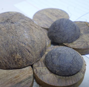 Rita Prossi - Artesão Trabalhando